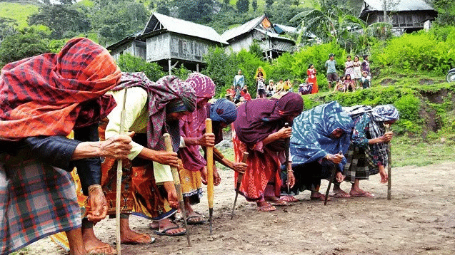 Agama, upacara, pakaian, senjata dan rumah

 – AAcial
