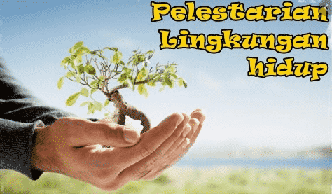 Pelestarian Lingkungan: Pengertian, Upaya, Upaya

 – AAcial