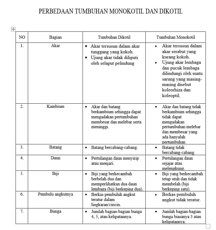 7 Perbedaan Antara Monokotil dan Dikotil (Bagan dan Gambar)

 – AAcial