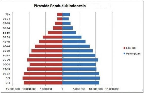 Piramida Penduduk – Fungsi, Cara, Pengertian, Jenis, Ekspansif

 – AAcial