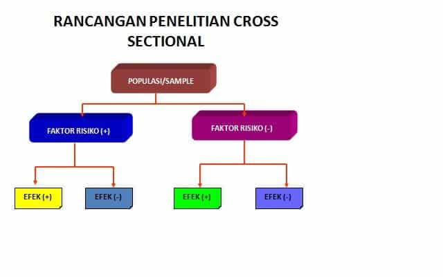 Proses, Komponen, Tahap dan Jenis – AAcial