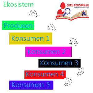 Komponen Ekosistem – Abiotik, Biotik, Pengurai,Pola, Faktor – AAcial