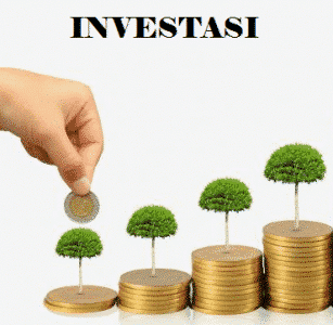Investasi Adalah – Fungsi, Tujuan, Jenis, Manfaat, Para Ahli – AAcial