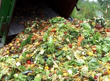 Jenis Sampah Organik, Dampak, Definisi, Anorganik, Prinsip

 – AAcial